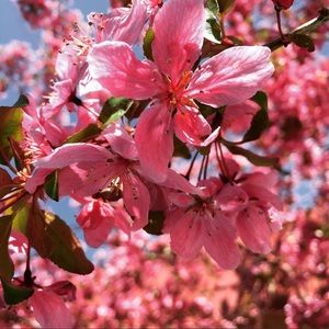 Meet your Posher, Lili